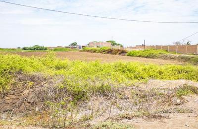 VENTA DE TERRENO DE 9315 M2 EN CARRETERA A PIMENTEL